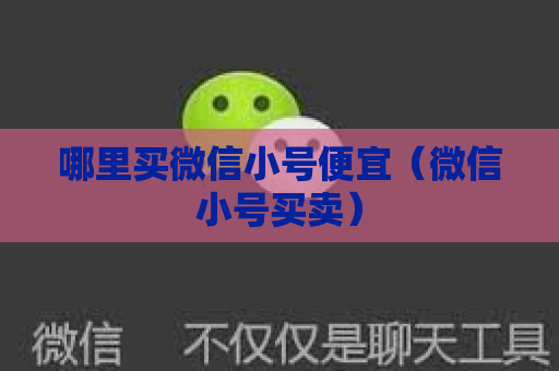 哪里买微信小号便宜（微信小号买卖）